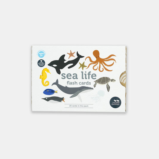 Sea Life Flash Cards