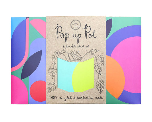 Pop Up Pot ‘Plant Party'